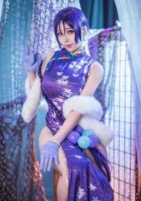 骆驼蜘蛛